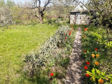 Дніпропетровська область, Курилівка