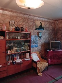 Запорізька область, Запоріжжя, Шевченківський