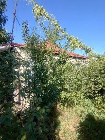 Харківська область, Харків, Немишлянський