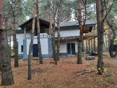 Київська область, Нижча Дубечня