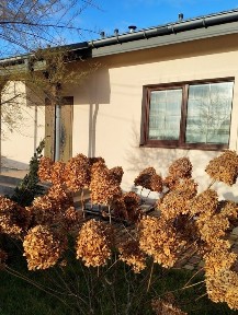 Продаж будинку с. Нові Петрівці КМ 