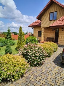 Київська область, Бузова