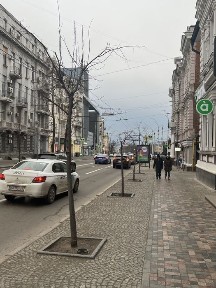 Харківська область, Харків, Шевченківський