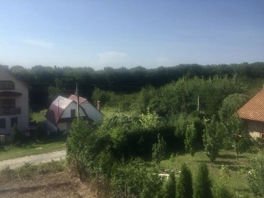 Закарпатська область, Лази