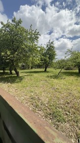 Продаєм старий будинок с. Велика Офірна Фастівський рай Київська обл.