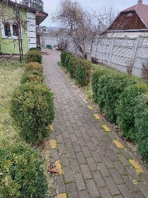 Київська область, Ворзель