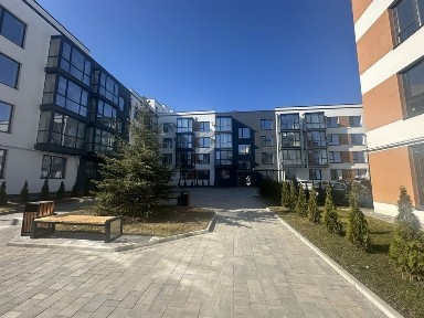 Рівненська область, Рівне