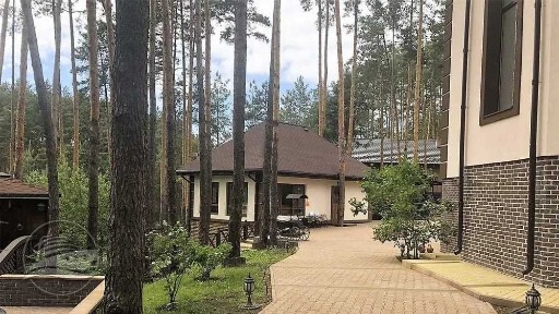 Сучасний особняк із повною обстановкою в сосновому лісі!