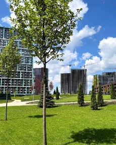 Київська область, Київ, Шевченківський