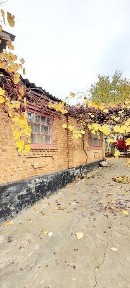 Дніпропетровська область, Кривий Ріг, Центрально-Міський