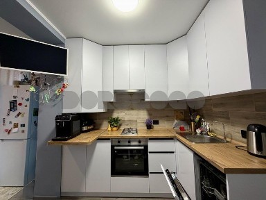 Київська область, Софіївська Борщагівка