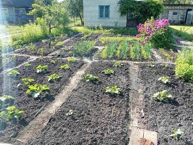 Продам Два будинки в одному. дворі!