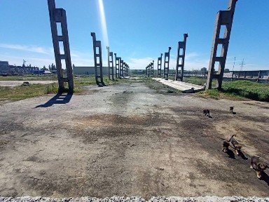 Одеська область, Одеса, Пересипський