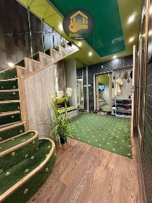 Київська область, Петропавлівське