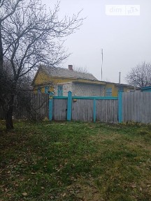 Центральна вулиця, Рокитне, вул. Центральна • ID 33866008