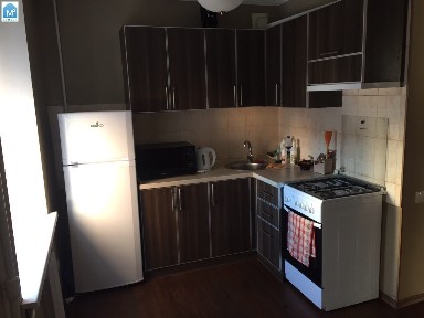 Аренда 2-комнатной квартиры 46 м², Юрия Гагарина просп., 179
