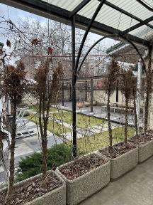 Дніпропетровська область, Дніпро, Чечелівський