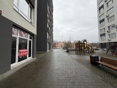 Львівська область, Львів, Шевченківський