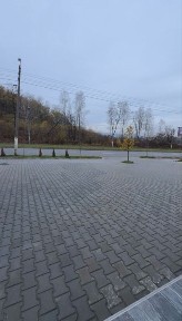 Чернівецька область, Чернівці