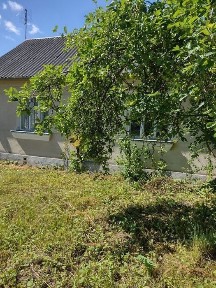 Терміново продам будинок з газом і грубкою та Великим підвалом!