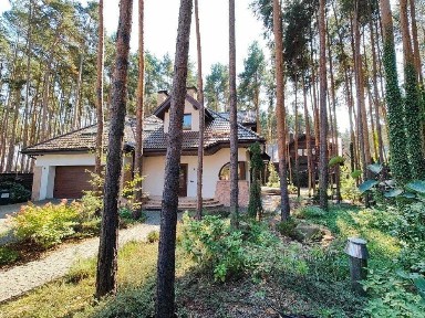 Київська область, Буча