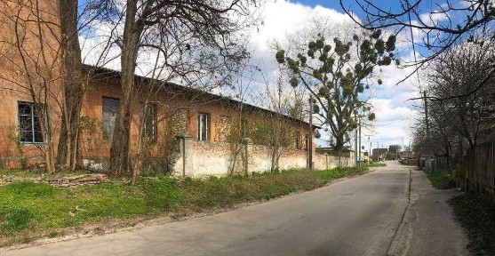 Волинська область, Володимир
