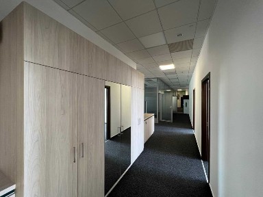 Київська область, Київ, Шевченківський