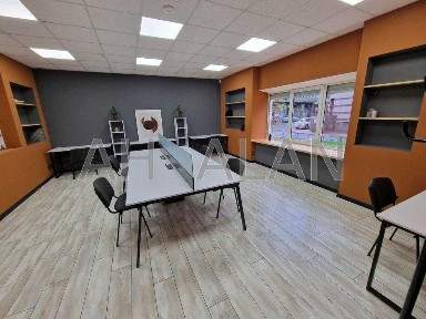 Київська область, Київ, Шевченківський