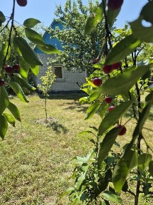 Чернігівська область, Березанка