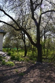 Чернігівська область, Вересоч