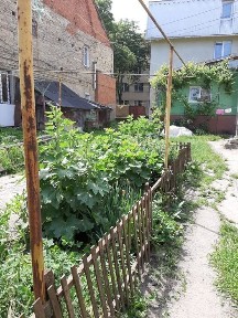 Хмельницька область, Кам'янець-Подільський