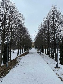 В Омеляна Здам Ресторанно-розважальний комплекс неподалік від міста