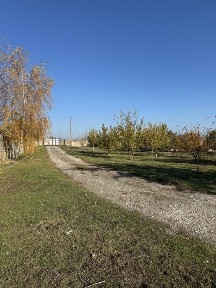 Оренда ферма/комерційна нерухомість/овоческлад/теплиці/земля