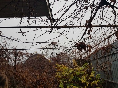 Одеська область, Одеса, Київський