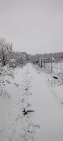 Житомирська область, Іванків