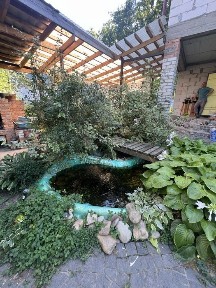 Житомирська область, Сонячне