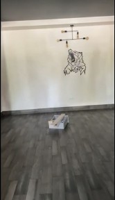 Одеська область, Чорноморськ