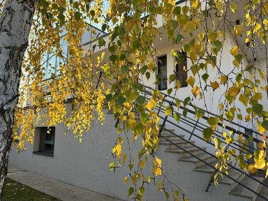 Київська область, Плюти