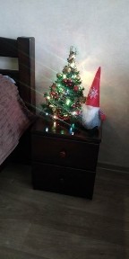 Здам подобово 1к квартиру на вул. Шевченка 58 • ID 22828269