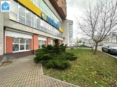 Київ, Мишуги 2
