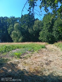 Житомирська область, Висока Піч