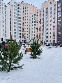 Рівненська область, Рівне