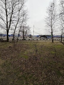 Сумська область, Суми