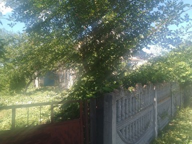 Черкаська область, Погреби