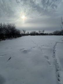 Продаж великого будинку в селі по Роменській трасі.