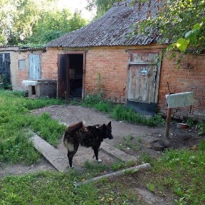Продаж частини будинку в с. М. Перещепина