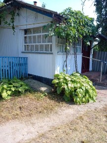 Київська область, Дибинці