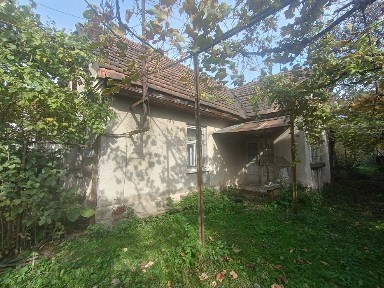 Закарпатська область, Нове Давидково
