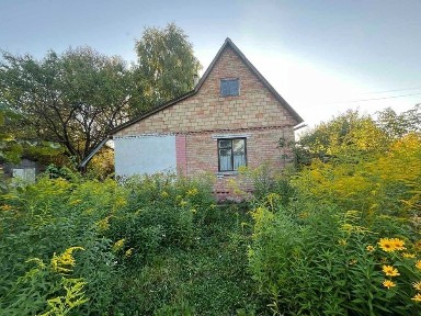 Продам дачний будинок с. Вільне-Тарасівка