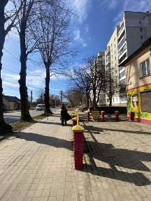 Львівська область, Львів, Шевченківський